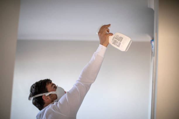 Professional Mold Removal in Virginia, IL